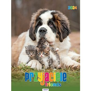 Kalendarz ścienny mały Przyjaciele