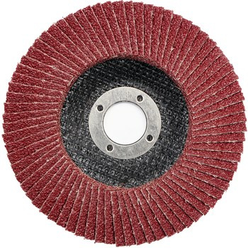 VOREL Ściernica listkowa talerzowa P60 125 mm