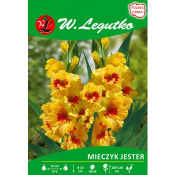 Mieczyk Jester seria tradycyjna Legutko