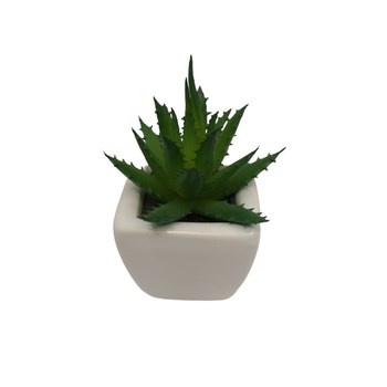 Sztuczny kaktus 10 cm Comfort Living