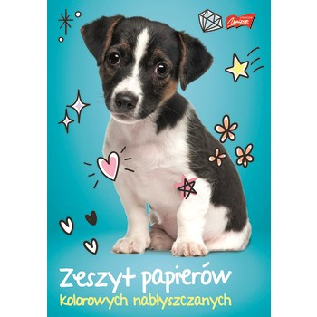 Unipap zeszyt papierów kolorowych nabłyszczany A5, 10 kartek