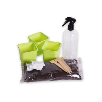 Pomidorowe koralik Legutko