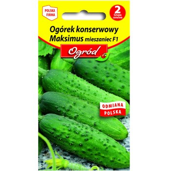 PlantiCo Ogórek konserwowy Maksimus mieszaniec F1 nasiona