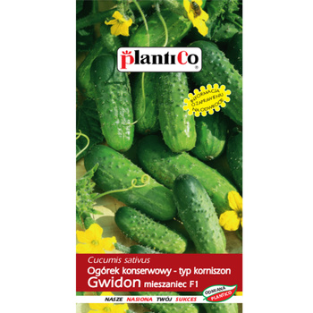 Ogórek konserwowy Gwidon F1  PlantiCo