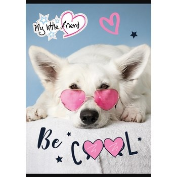 Unipap zeszyt okładka laminowana A5, 32k., linia dwukolorowa My Little Friend