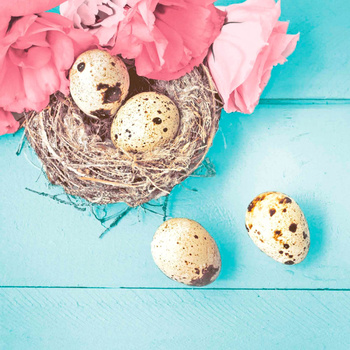 Duni Serwetki 3 warstwowe 33x33 cm Flower Nest 20 szt.