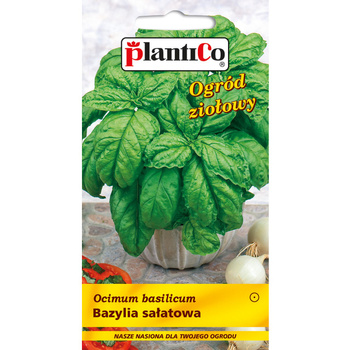 PlantiCo Bazylia sałatowa