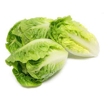 SAŁATA LITTLE GEM KL.I PL 2SZT