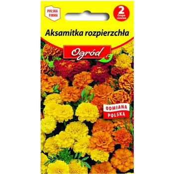 PlantiCo Aksamitka niska rozpierzchła mieszanka