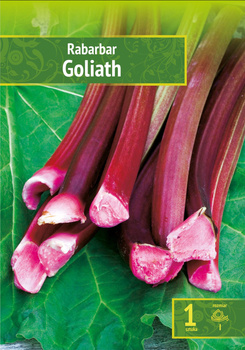 Rabarbargoliath Wybór "I" 1 Szt