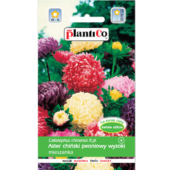 PlantiCo Aster chiński peoniowy mieszanka