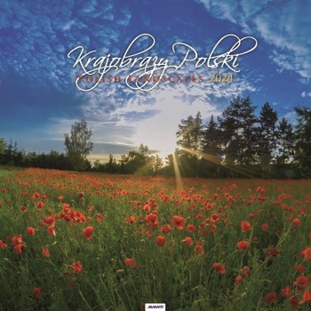 Kalendarz ścienny duży Krajobrazy Polski