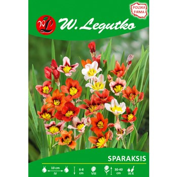 Sparaksis mieszanka seria tradycyjna Legutko
