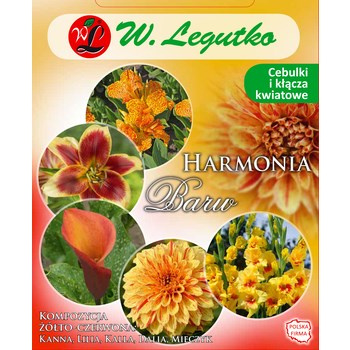 Kompozycja żółto-czerwona Harmonia Barw Wiosna Legutko