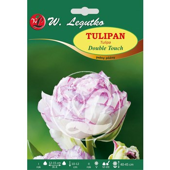Tulipan Double Touch Legutko