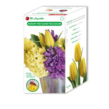 Rośliny przyjazne pszczołom Legutko