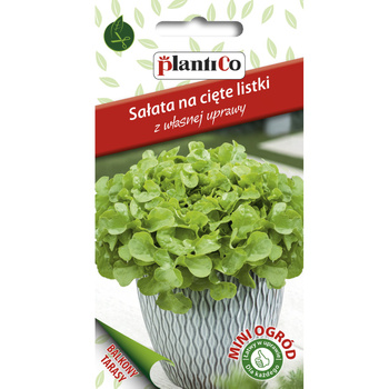 Sałata, na cięte listki, gładka zielona PlantiCo