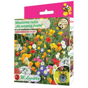 Mieszanka roślin jednorocznych Na ostatnią chwilę 125g Legutko