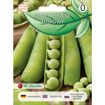 Groch siewny łuskowy Cud Kelvedonu wczesny, nasiona pomarszczone 30g Seria Bazowa Legutko