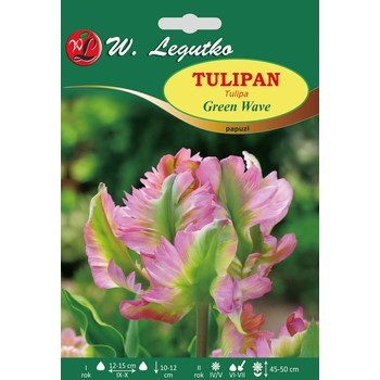 Tulipan Green Wave Legutko