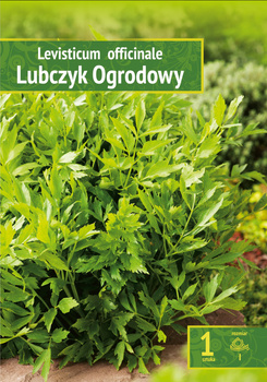 Levisticum Officinale - Lubczyk Ogrodowy Wybór "I" 1 Szt.