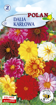 Dalia Karłowa Pełna i Półpełna   Polan