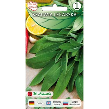 Szałwia lekarska Salvia officinalis 0.50g Legutko