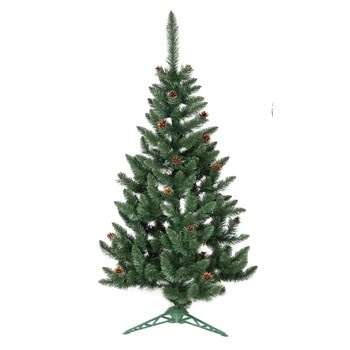 Jodła z szyszką 180