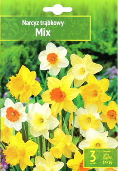 Narsissus - Narcyz Trąbkowy Mix 3SZT.