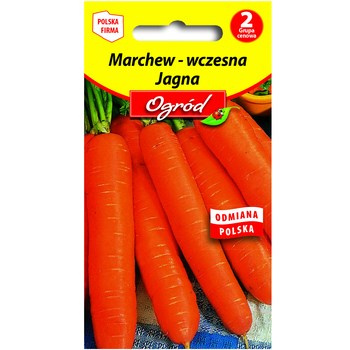 PlantiCo Marchew - wczesna Jagna, typ karotka nasiona