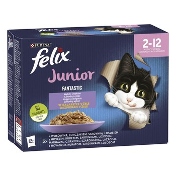 FELIX FANTAS.JUNIOR MIX 12X85G