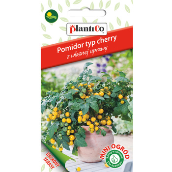 Pomidor typ cherry, żółty PlantiCo