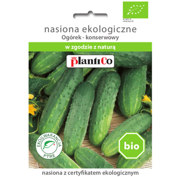 Ogórek konserwowy  PlantiCo