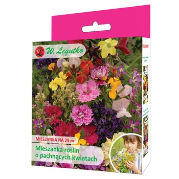 Mieszanka roślin o pachnących kwiatach Legutko