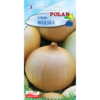 Cebula Wolska Polan