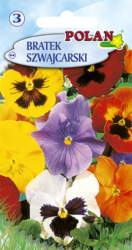 Bratek Szwajcarski  Polan