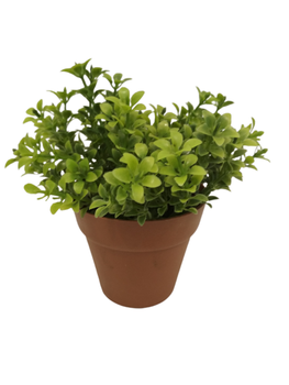 Sztuczna roślinagwiazda 12,5 cm Comfort Living