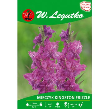 Mieczyk Kingston Frizzle seria tradycyjna Legutko