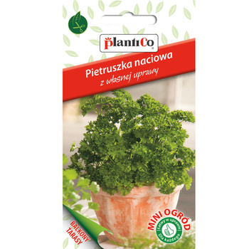 Pietruszka liściowa, kędzierzawa PlantiCo