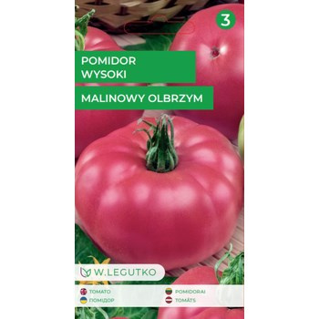 Pomidor gruntowy wysoki Malinowy Olbrzym - owoce bardzo duże, średnio późna Legutko