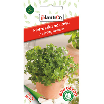 Pietruszka liściowa, gładka PlantiCo
