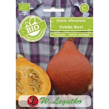 Dynia olbrzymia Uchiki Kuri Legutko