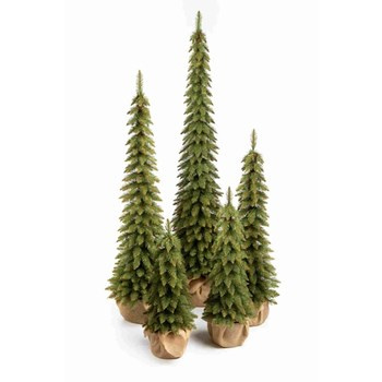 Choinka świerk tatrzański 120 cm w jucie