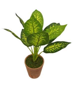 Sztuczna roślina 38 cm Comfort Living