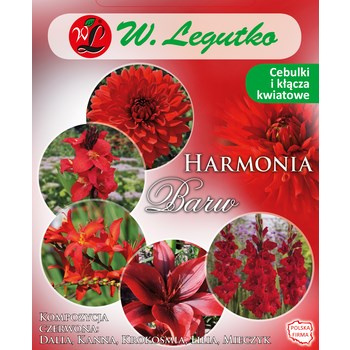 Kompozycja czerwona Harmonia Barw Wiosna Legutko