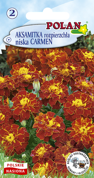 Aksamitka Rozpierzchła Carmen Polan