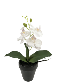 Sztuczna roślina storczyk 31 cm Comfort Living