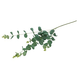 EM&EM Gałązka dekoracyjna eukaliptus 64cm