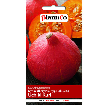 Dynia olbrzymia Uchiki Kuri, typ Hokkaido PlantiCo
