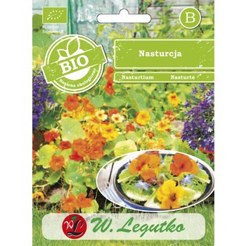 Nasturcja wysoka Legutko